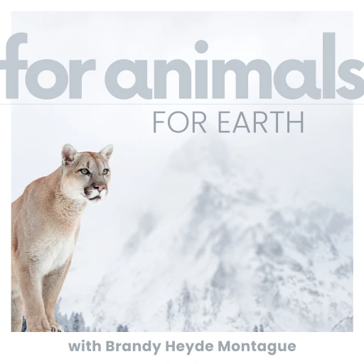 For Animals For Earth – Simple ideas to make a difference.