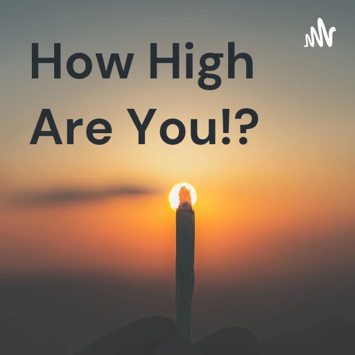 How High Were You!?