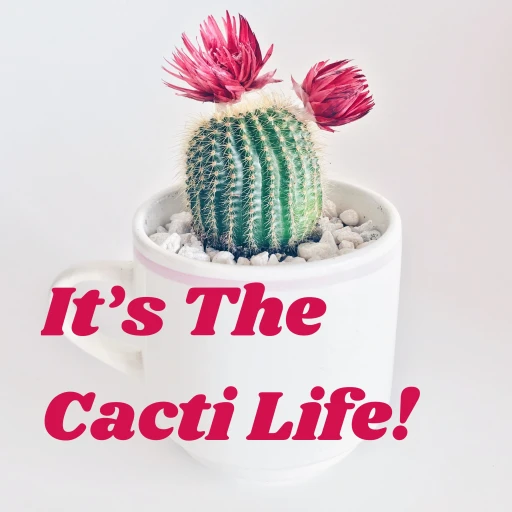 It’s The Cacti Life!