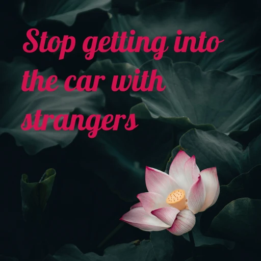 Stop Getting Into The Car With Strangers