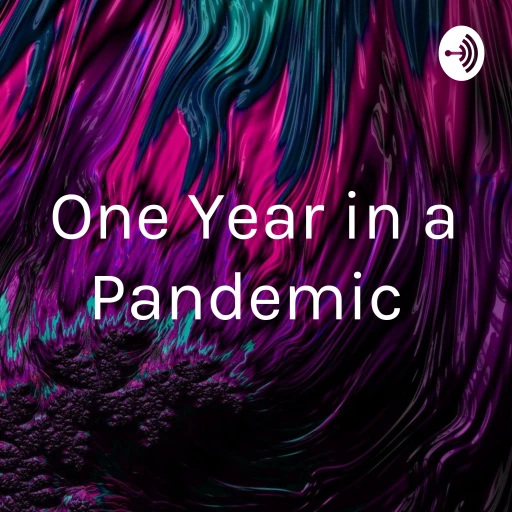 One Year in a Pandemic