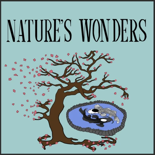 Nature’s Wonders