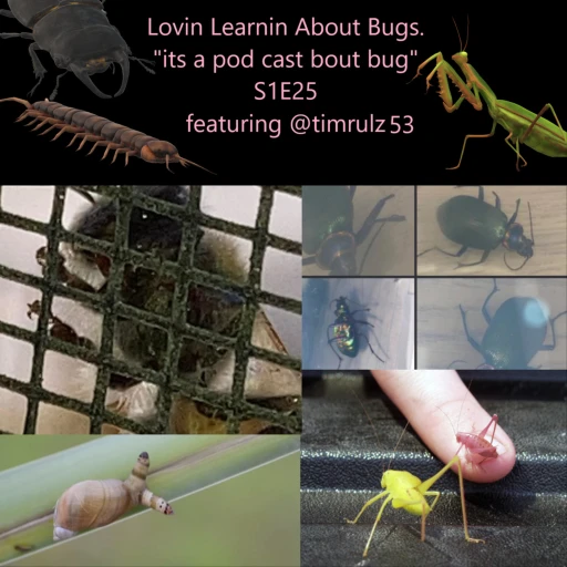 Lovin’ Learnin’ About Bugs