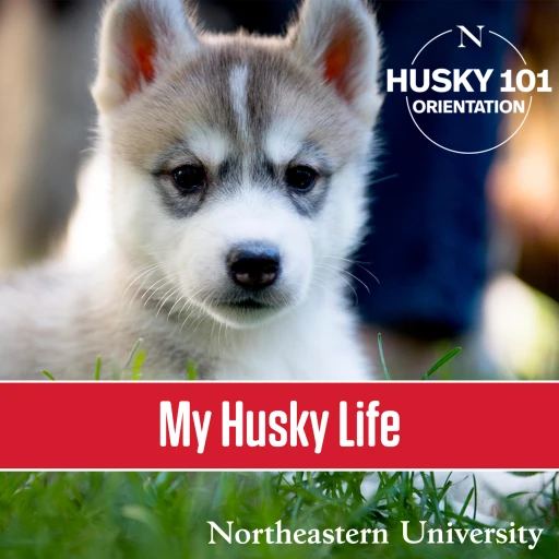 My Husky Life