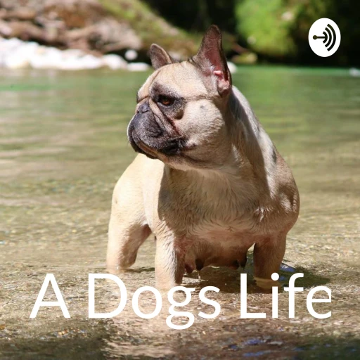 A Dogs Life Podcast