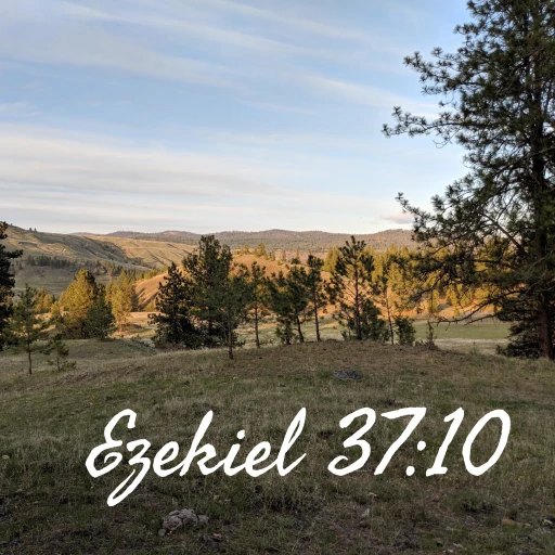 Ezekiel 37:10