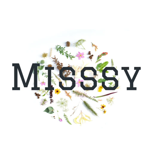 Misssy