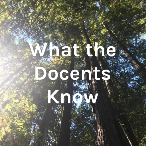 What the Docents Know