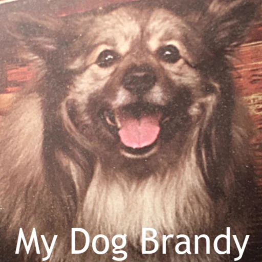 My Dog Brandy