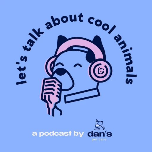 Let’s Talk About Cool Animals!