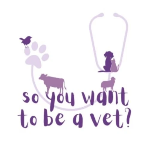 So You Want To Be a Vet?