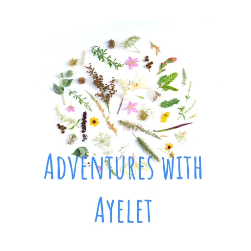 Adventures with Ayelet