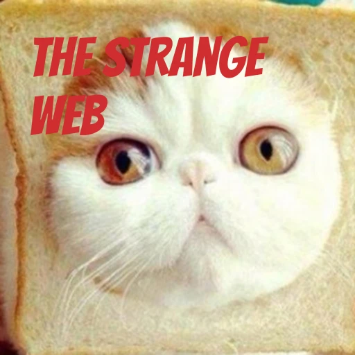 The Strange Web