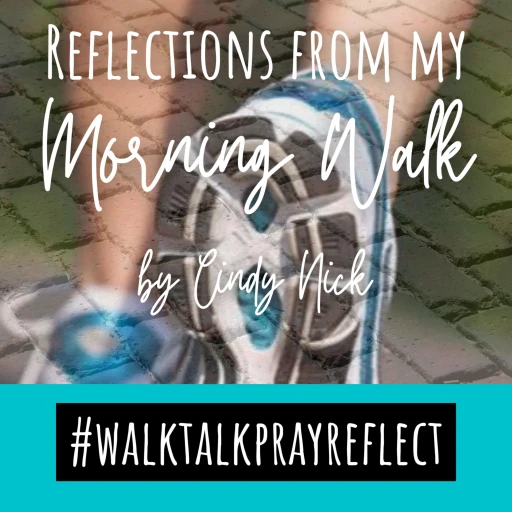 Reflections From My Morning Walk