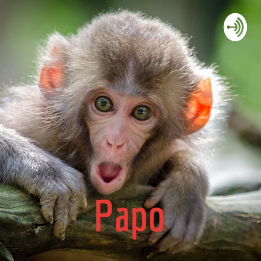 Papo – No. 1