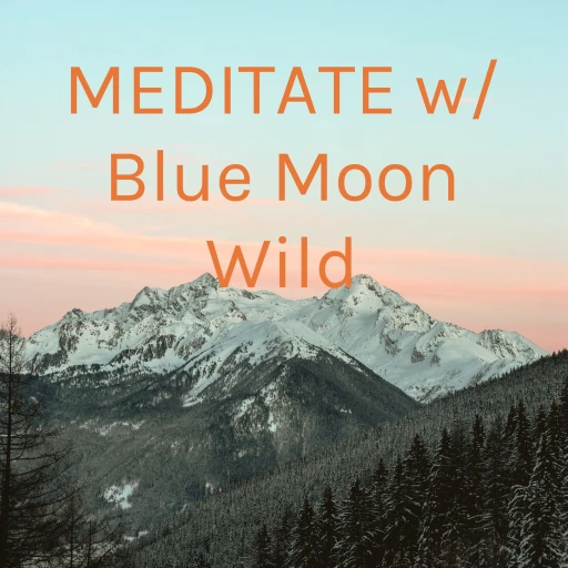 MEDITATE w/ Blue Moon Wild