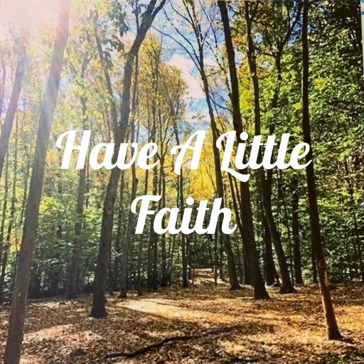 Have A Little Faith