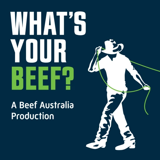 What’s Your Beef