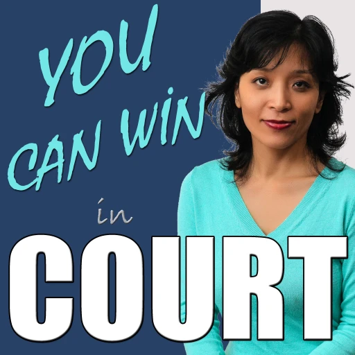 You Can Win in Court