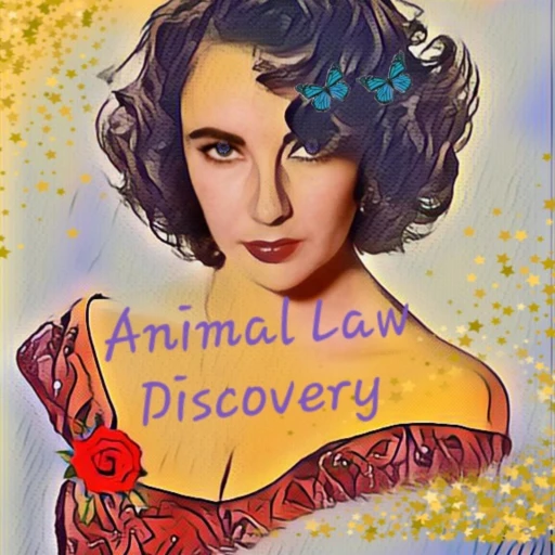 Let’s discover Animal law. Be the best pet parent you can be.