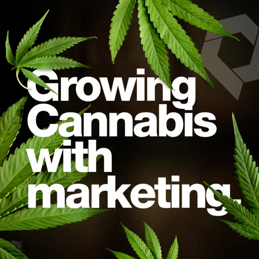 QonkurCast | Everything you need to know about Cannabis and Marketing