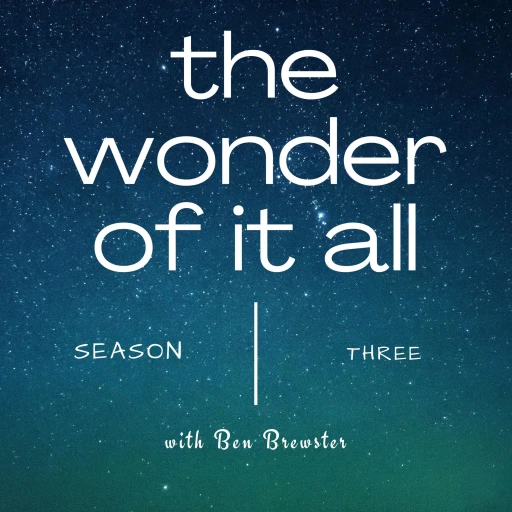 The Wonder of It All