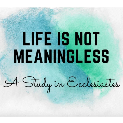 Life is not meaningless – A study in Ecclesiastes