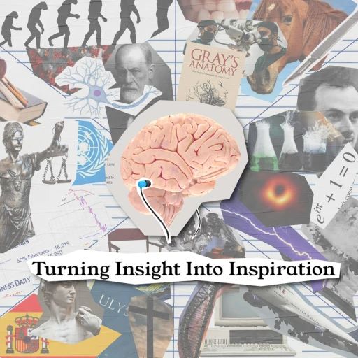 Turning Insight into Inspiration