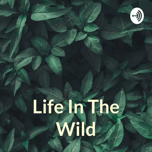 Life In The Wild: How It All Began