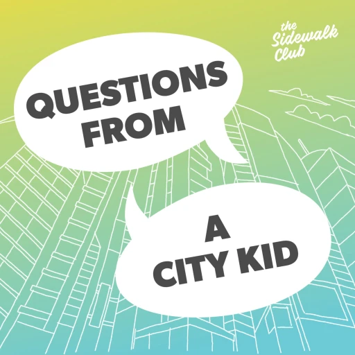 Questions From A City Kid