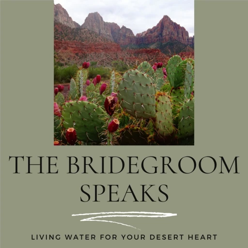 The Bridegroom Speaks…Living Water for your desert heart.