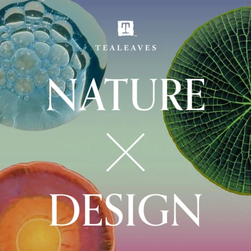 Nature X Design | A TEALEAVES Podcast