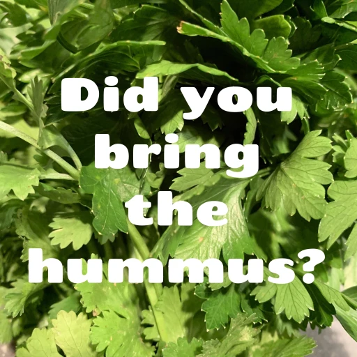 Did You Bring the Hummus?