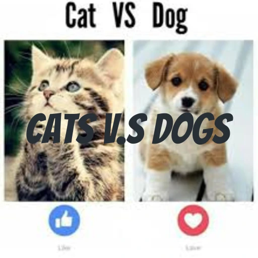 Cats v.s Dogs