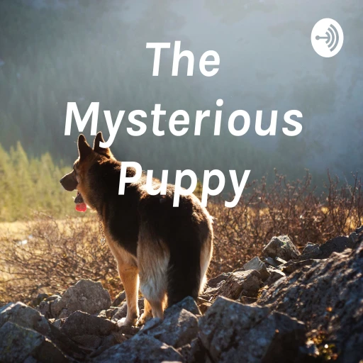 The Mysterious Puppy