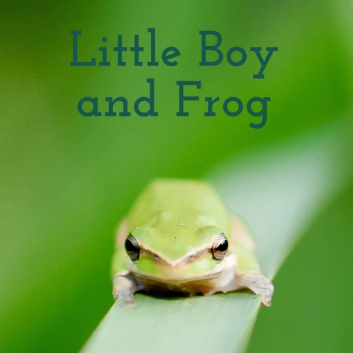 Little Boy and Frog: bedtime stories for kids