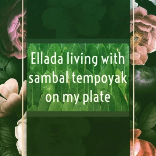 Ellada living with sambal tempoyak on my plate