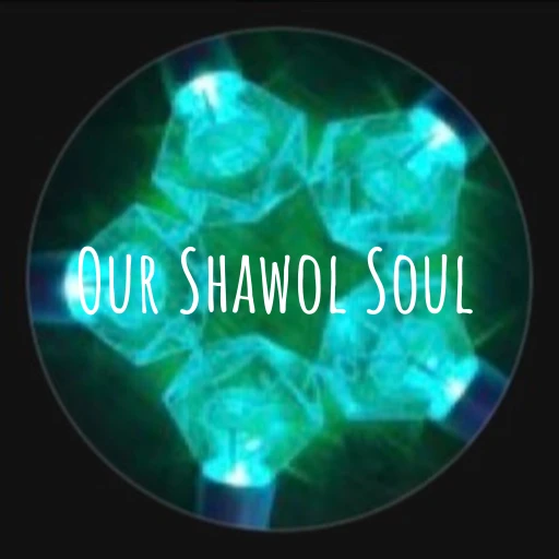 Our Shawol Soul