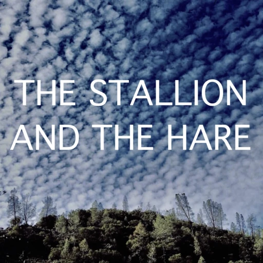 The Stallion and the Hare