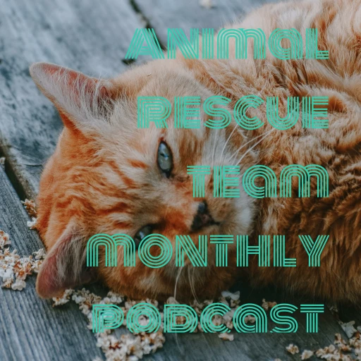 Animal rescue team monthly podcast