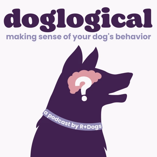 DogLogical: Your Dog Training Questions, Answered.