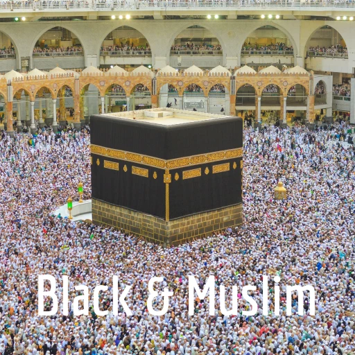 Black & Muslim