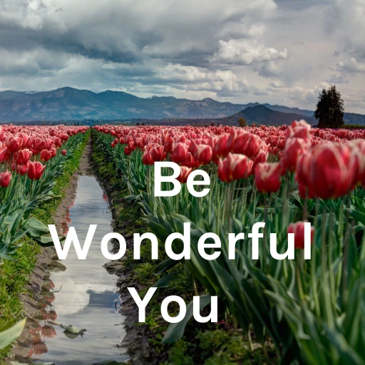 Be Wonderful You