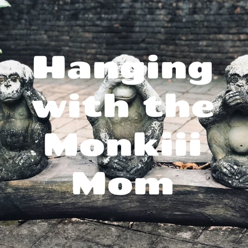 Hanging with the Monkiii Mom