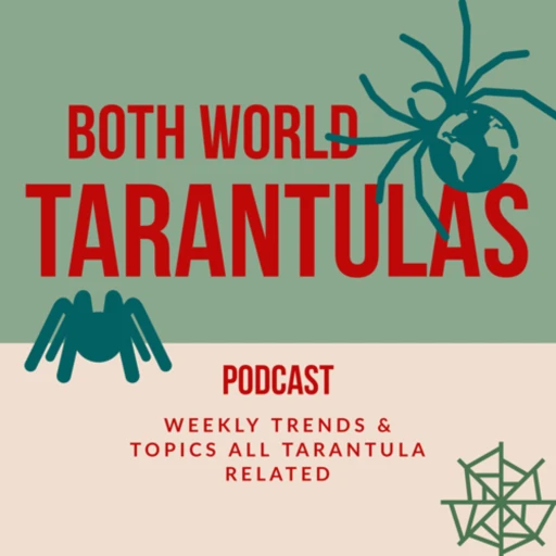 Both World Tarantulas