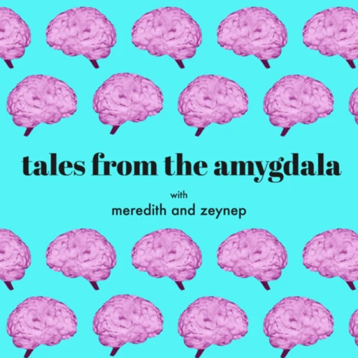 tales from the amygdala