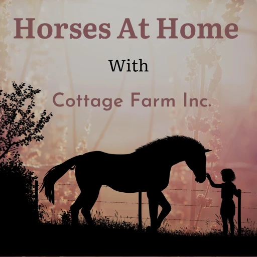 Horses At Home with Cottage Farm