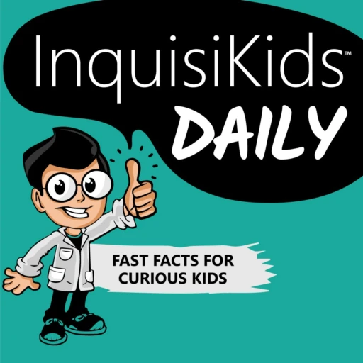 Inquisikids Daily