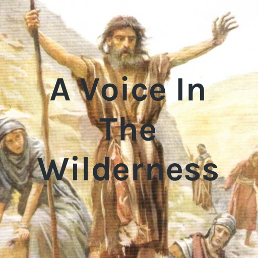 A Voice In The Wilderness