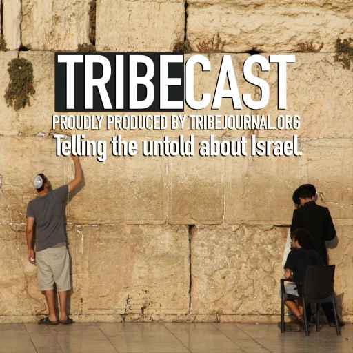 TRIBECAST at TRIBE JOURNAL